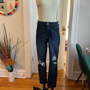 American Eagle Curvy High Rose Jegging in Next level stretch